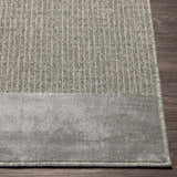 Close-up of the Bantiqui Area Rug showing its textured gray stripes and smooth gray border on dark wood flooring. Front