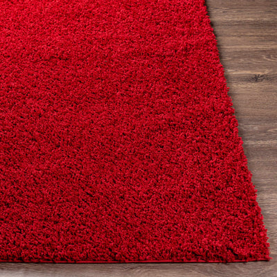 Burgandy Rug - clearance