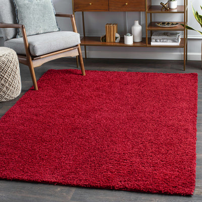 Burgandy Rug - clearance