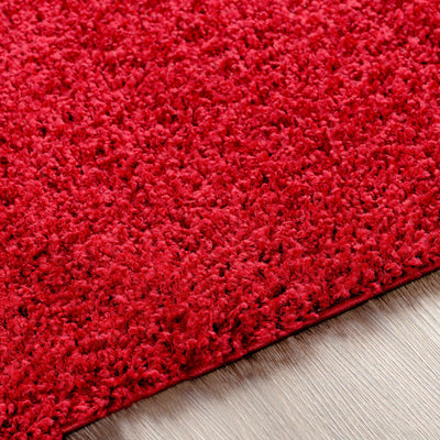 Burgandy Rug - clearance