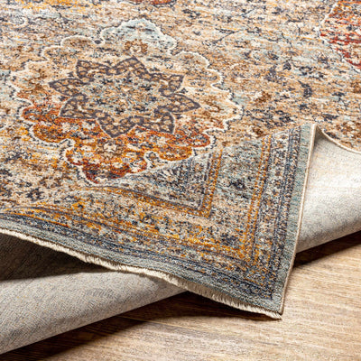 Baon Area Rug - Clearance