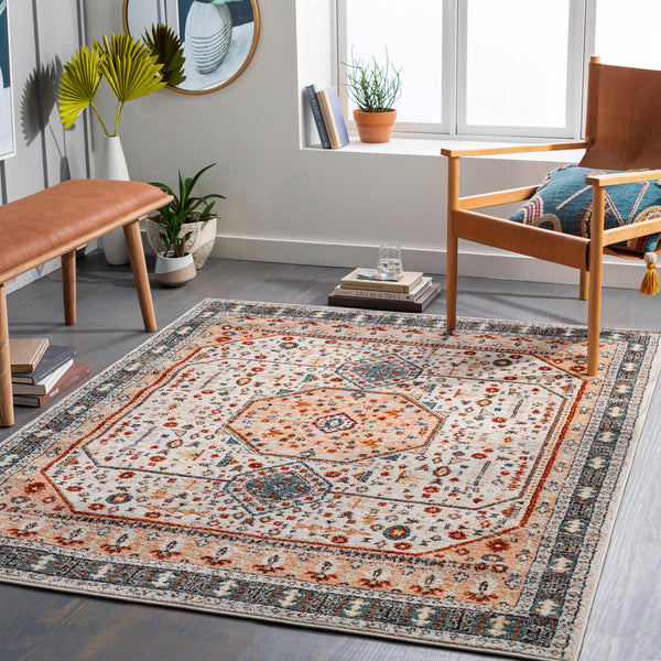 Basdiot Area Rug - Clearance