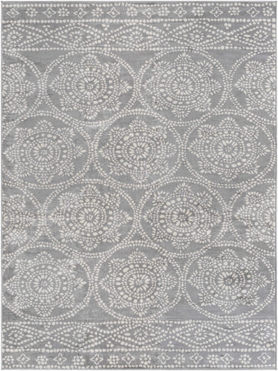 Bavon Gray Area Rug - Clearance