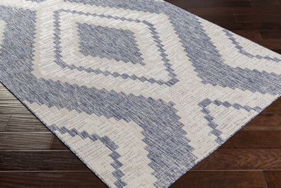 McCrory Pale Blue Flat Rug