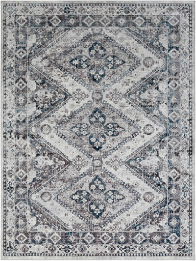 Bayonne Area Rug - Clearance