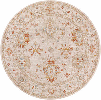 Beausejour Oushak Area Rug