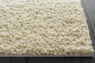 Bedias Wool Area Carpet - Clearance
