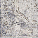 Close-up of the Beebe Luxe Area Rug showing its traditional pattern in gray, brown, ivory, and light slate hues. Swatch