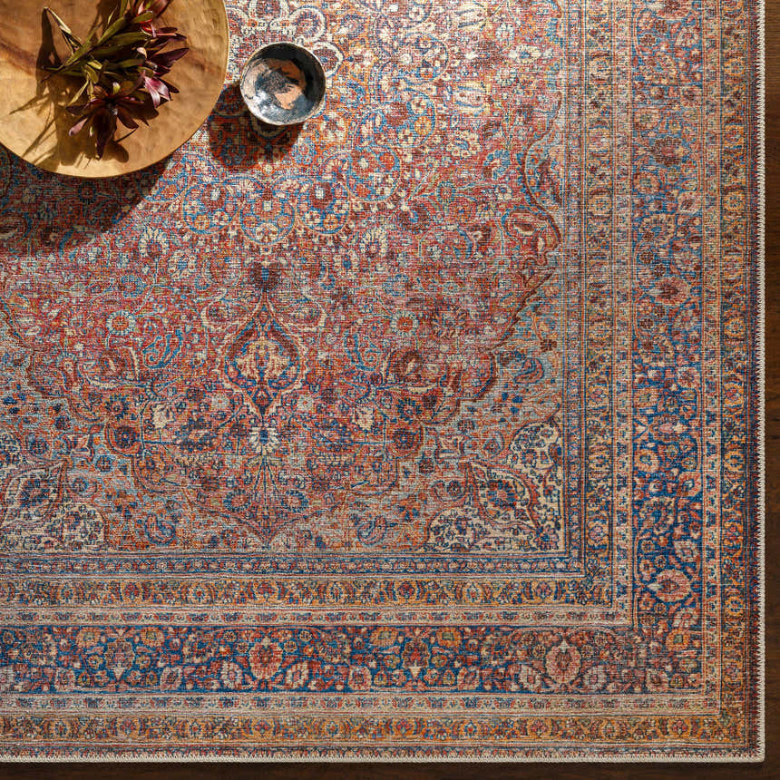Close-up of Belison Washable Area Rug, a traditional design in red, blue, and beige. Farmhouse style, machine woven texture. Styleshot