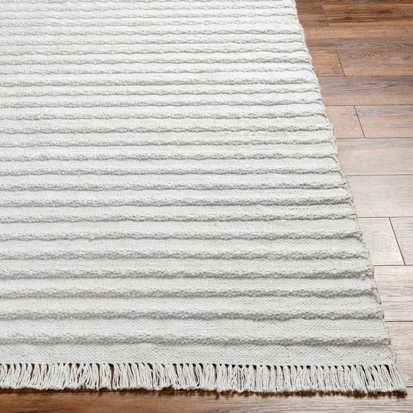 Benek Flatweave Performance Rug