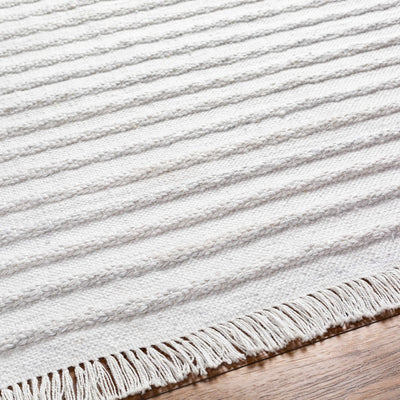 Benek Flatweave Performance Rug