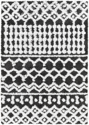 Bente Shag Area Rug