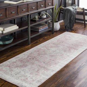 Bergman Distressed Red Area Rug