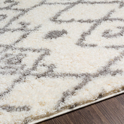 Berwyn Area Carpet - Clearance