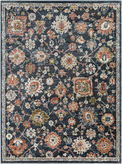 Bialong Traditional Area Rug - Clearance