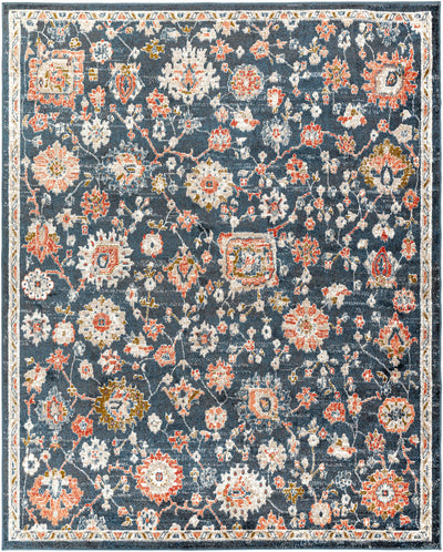 Bialong Traditional Area Rug - Clearance