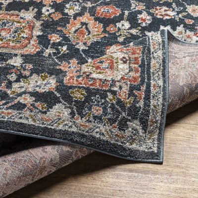 Bialong Traditional Area Rug - Clearance