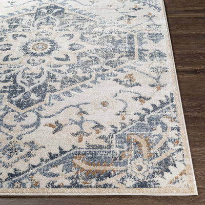 Biggleswade Denim Medallion Area Rug