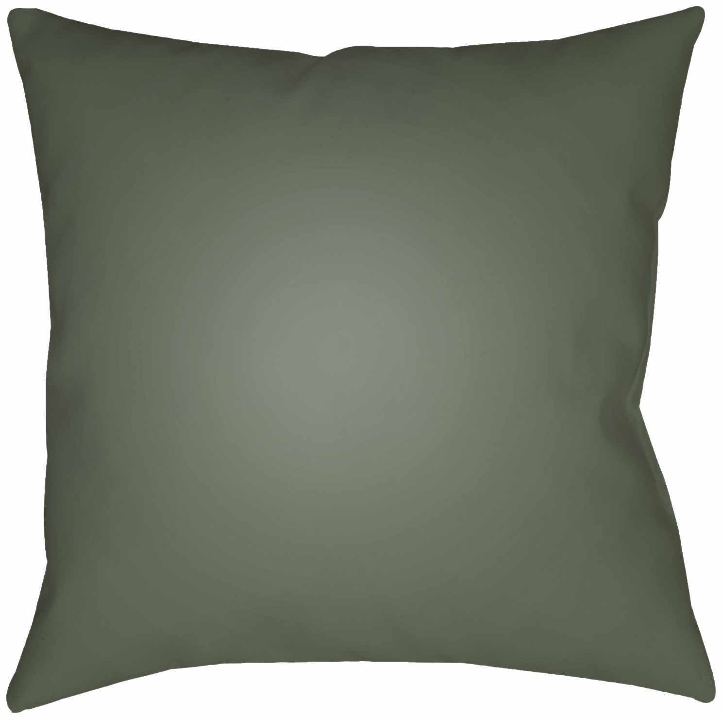 Biking Outdoor Throw Pillow