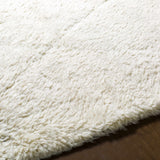 Birdwell Area Rug - Clearance