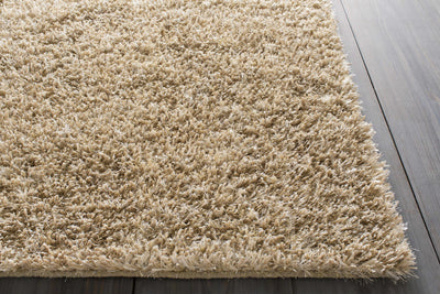 Bishop Area Rug - Clearance