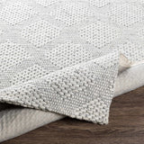 Bakersfield Area Rug - Clearance