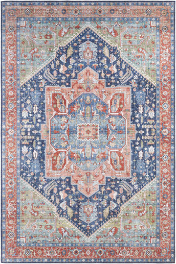 Detailed Persian-style Blaze Area Rug with a blue, brick red, and olive color palette. Design-Rectangle-576