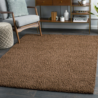 Brown Solid Area Rug - Clearance