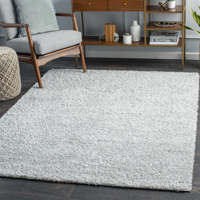 Light Gray Solid Area Rug - Clearance