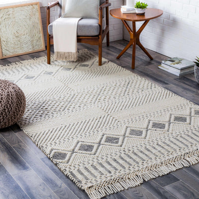 Blakeview Area Rug - Clearance