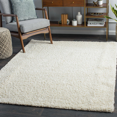 Cream Solid Area Rug - Clearance