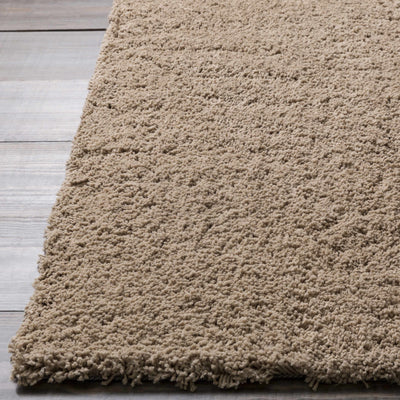 Blaine Area Rug