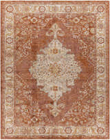 Detailed view of the Bluewell Area Rug, featuring a traditional oriental pattern in brick red, beige, and charcoal. Design-Rectangle-710103