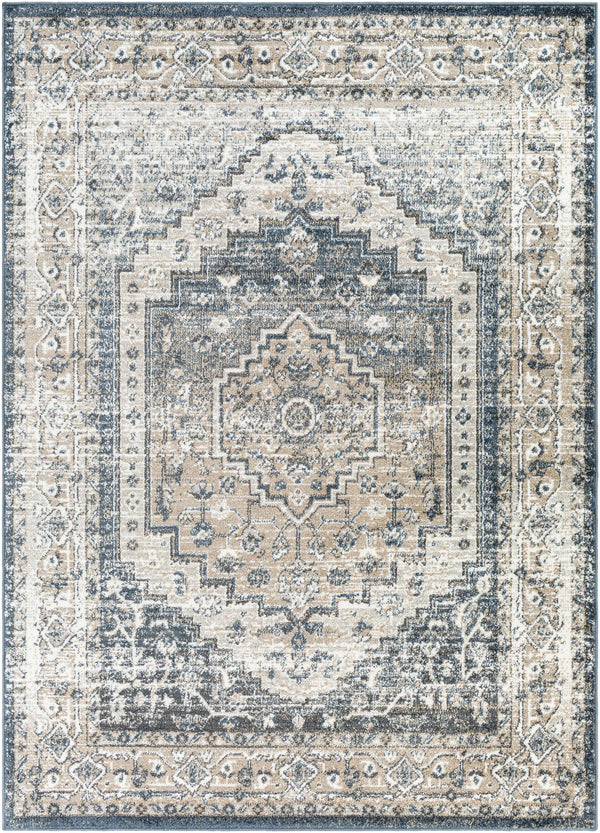 Labnig Charcoal Traditional Area Rug - Clearance