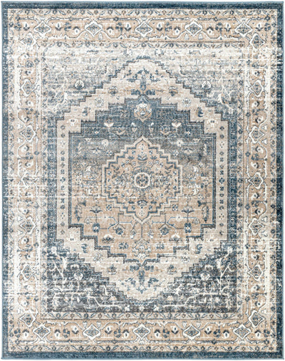 Labnig Charcoal Traditional Area Rug - Clearance