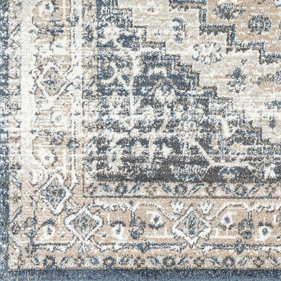 Labnig Charcoal Traditional Area Rug - Clearance