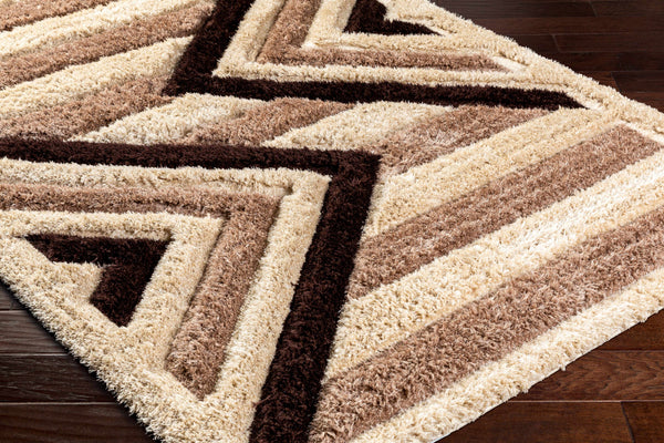 Abeje Chocolate Brown Area Rug
