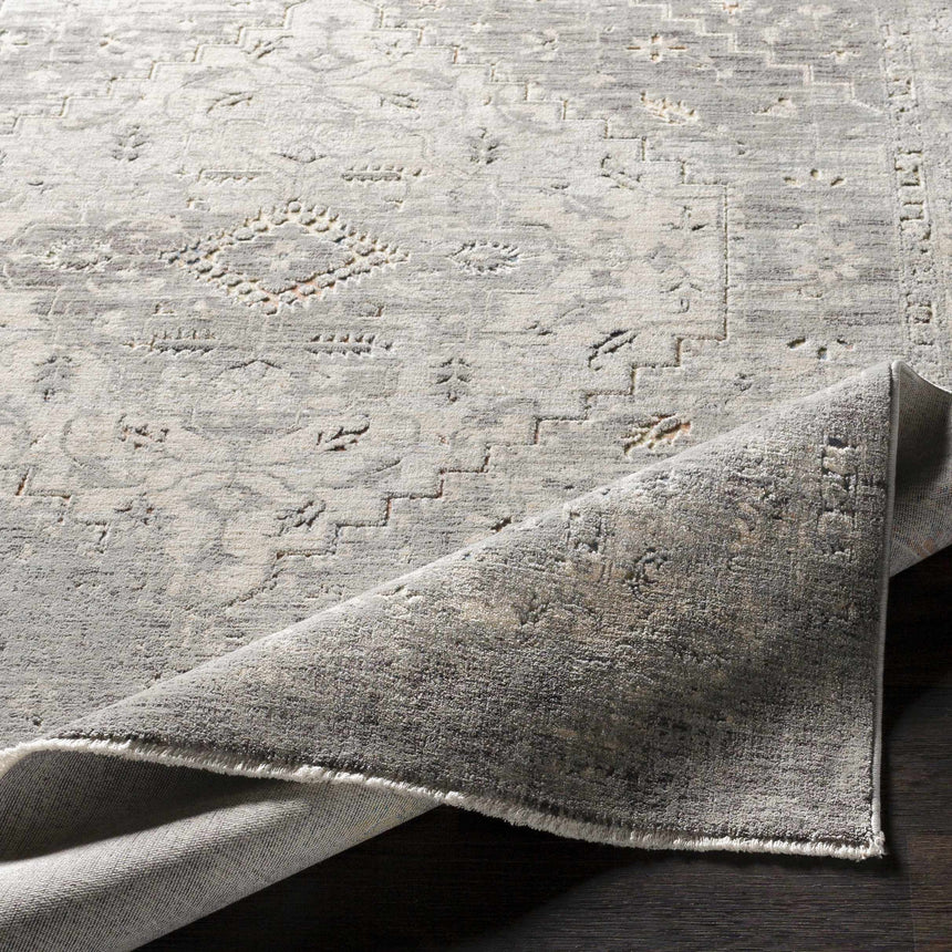 Boli Distressed Statement Rug