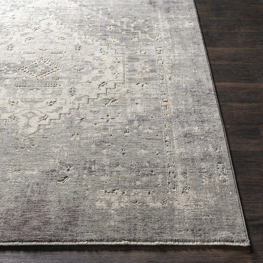 Boli Distressed Statement Rug