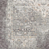 Boli Distressed Statement Rug