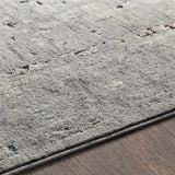 Boli Distressed Statement Rug