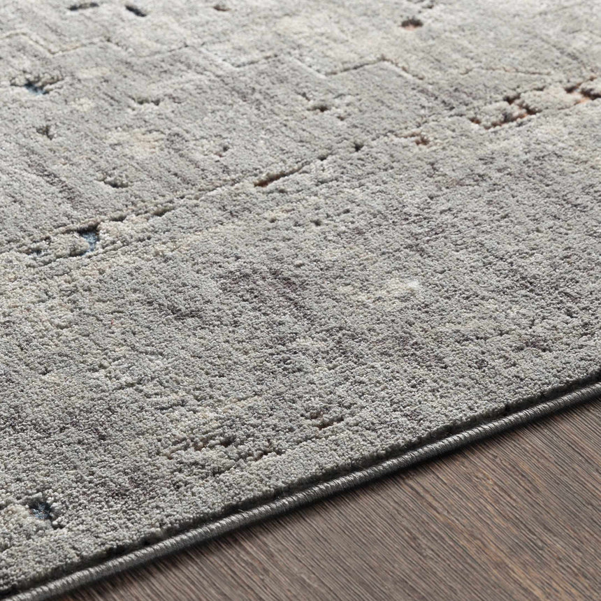 Boli Distressed Statement Rug