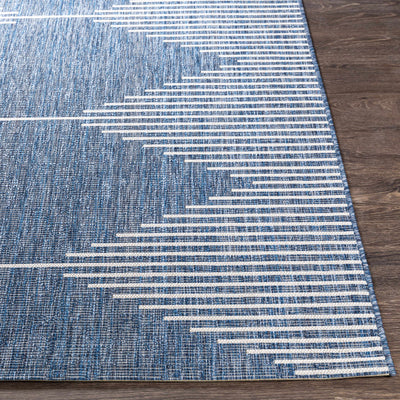 Stephan Navy Outdoor Rug