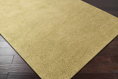 Bovard Area Carpet - Clearance