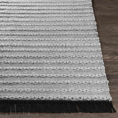 Brockman Flatweave Performance Rug