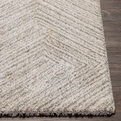 Broadwater Area Rug