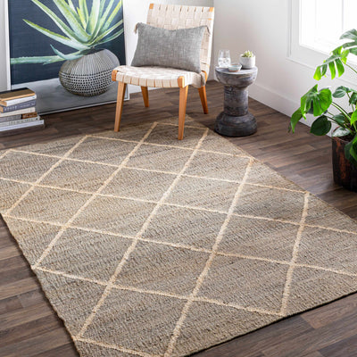 Brookline Jute Rug - Clearance