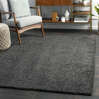 Charcoal Solid Area Rug
