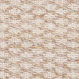 Brillion Area Carpet - Clearance