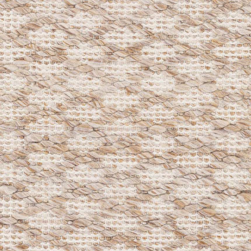 Brillion Area Carpet - Clearance